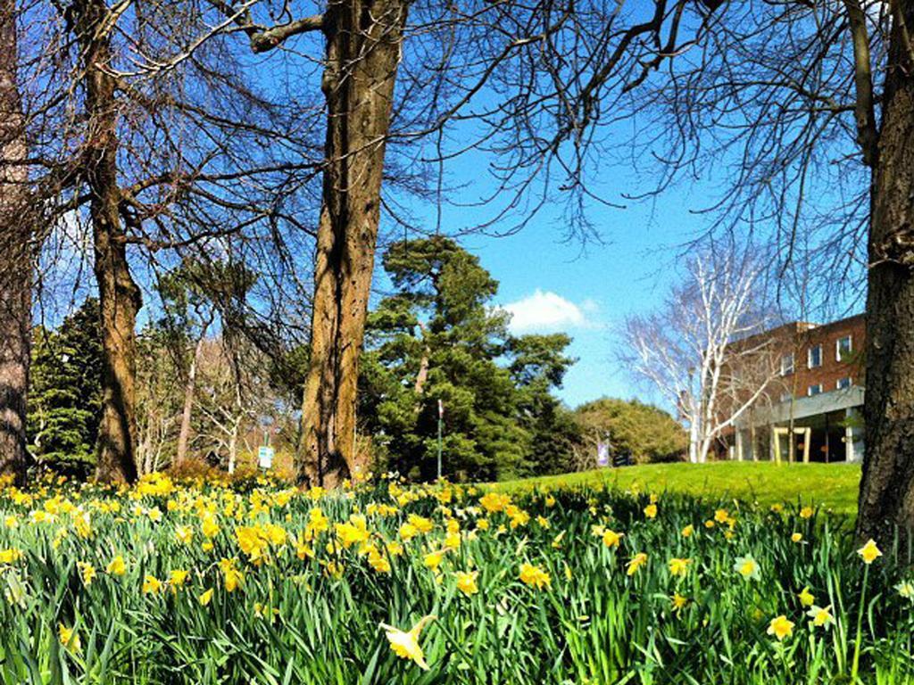 University Of Exeter - Pennsylvania Court Luaran gambar